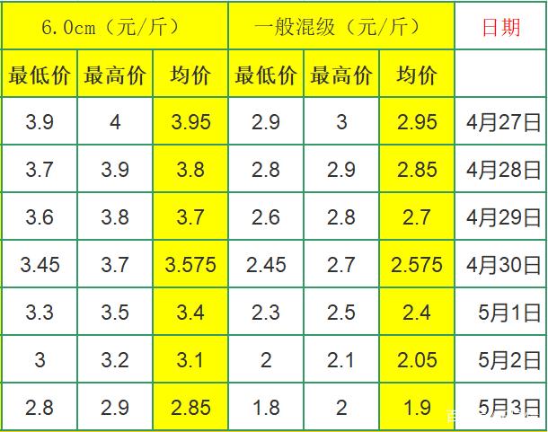 山东大祘最新价格行情详解，获取与解读大蒜价格信息的指南