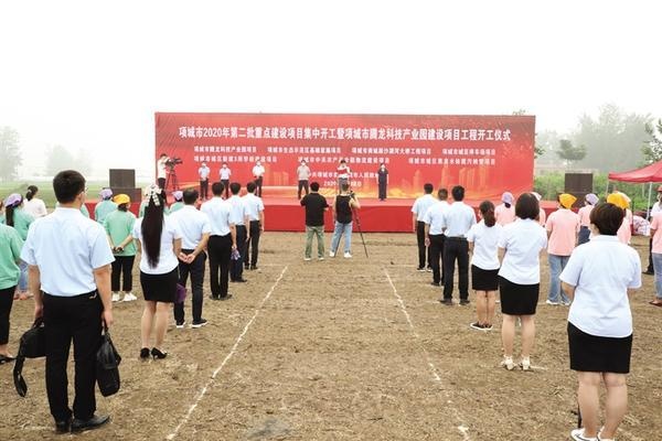 项城亿嘉最新动态，日常趣事与深厚友情一览无余