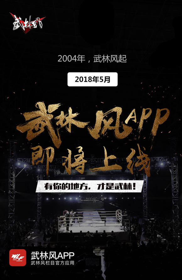武林风控股最新动态，小巷探秘独特风味揭秘