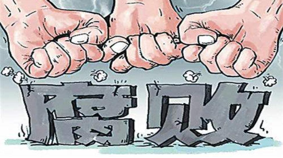 程诗最新消息，唤醒内心力量，启航学习与变化之旅