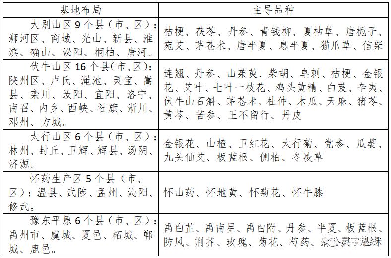 最新灵宝市领导分工表公布，观点论述与分工细节全解析