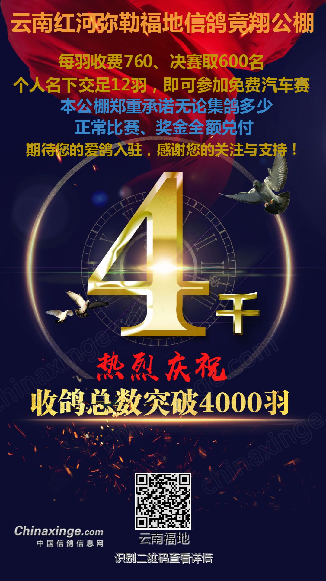 云南和平公棚最新公告解读与观点阐述