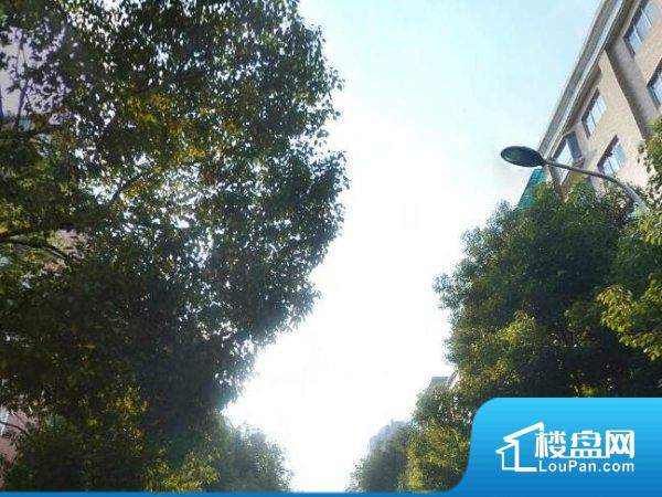 昆明海公馆最新动态，探索自然美景之旅，寻觅内心平和之地