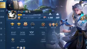 绿色经典精盛青稞酒 第91页
