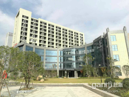 嘉善铂金广场最新动态更新，最新消息汇总
