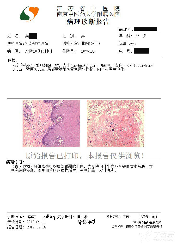最新病理报告观点论述概览