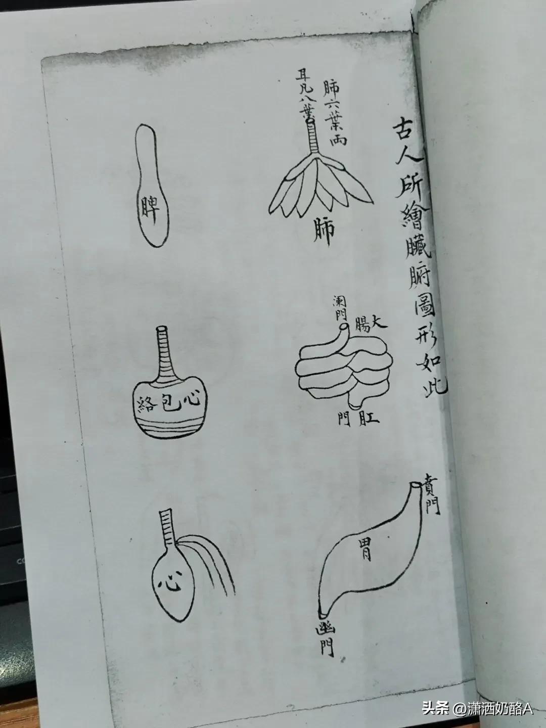 最新医法，护航健康新生活✨