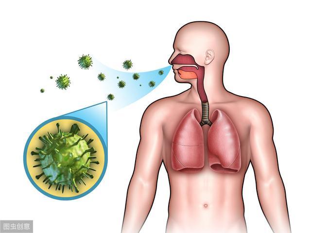鼻病毒最新动态，研究、治疗与预防进展