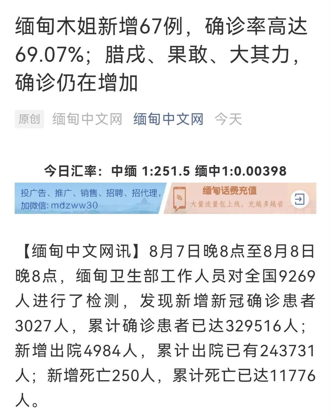 白酒 第25页