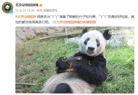丫丫最新图，时尚潮流与艺术魅力的交融探索