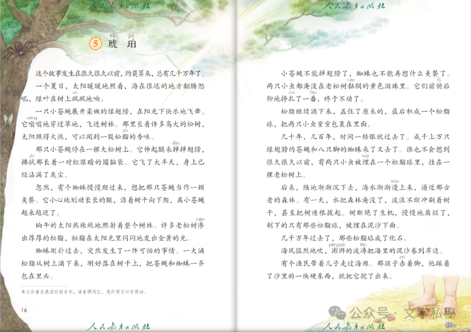 探索最新琥珀课文，揭示神秘琥珀世界