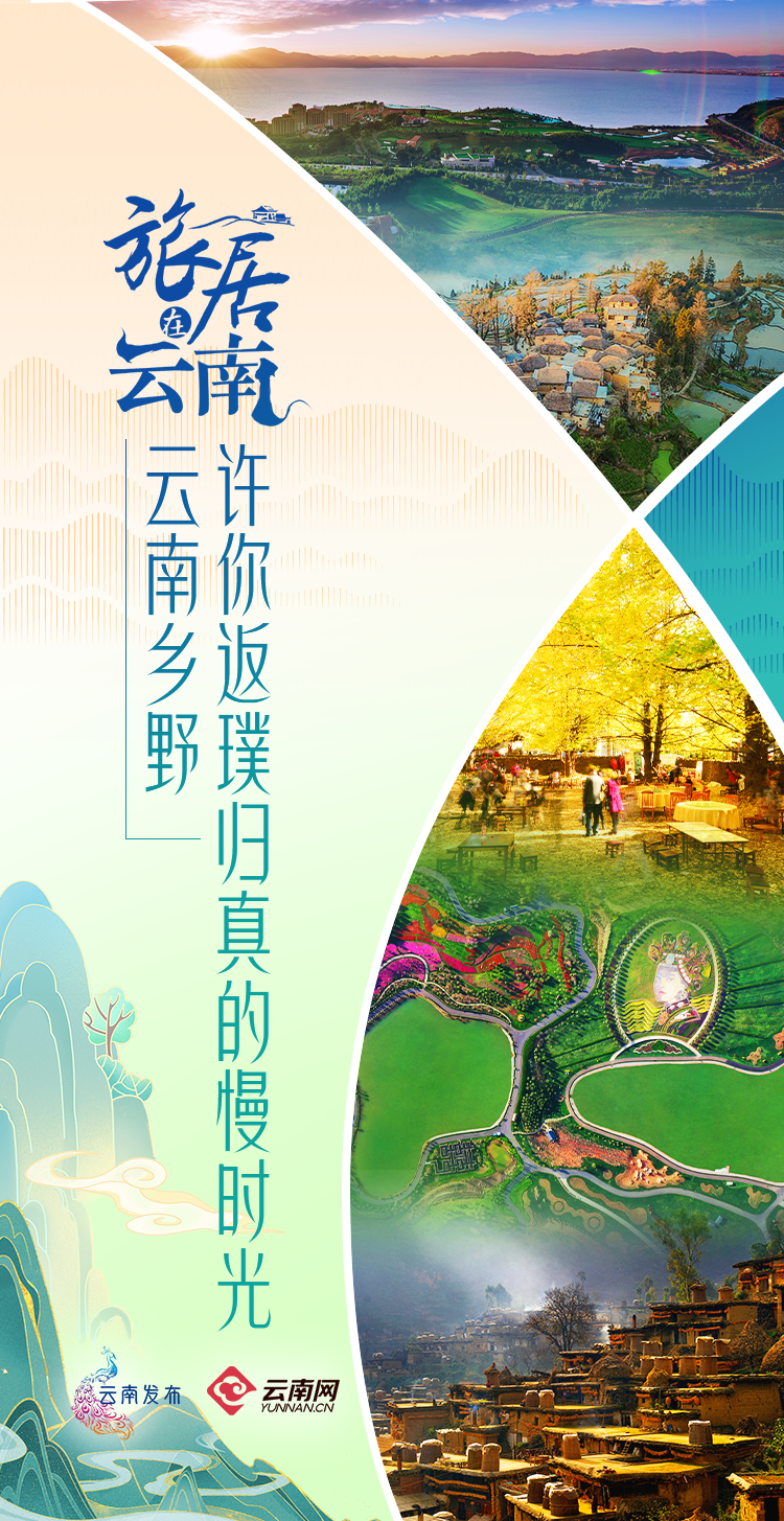 云南最新传闻，友情的温暖与日常趣事