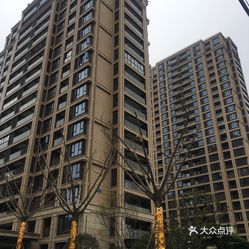 最新小区命名趋势，名字背后的争议与探索