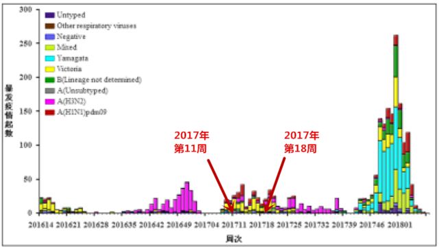 全球流感最新统计回顾，流感疫情的影响与深入分析