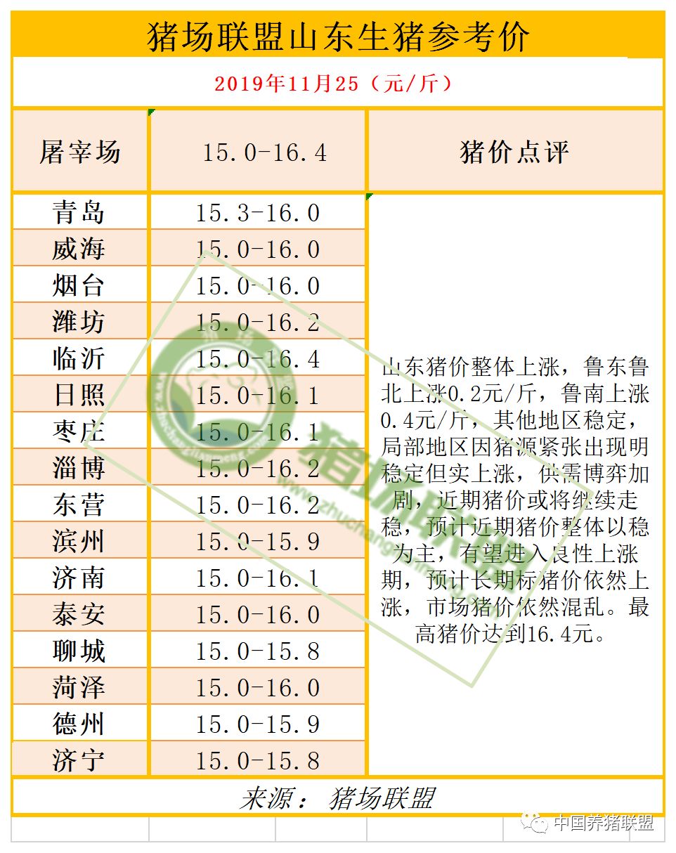 山东猪最新动态，全面关注与了解指南